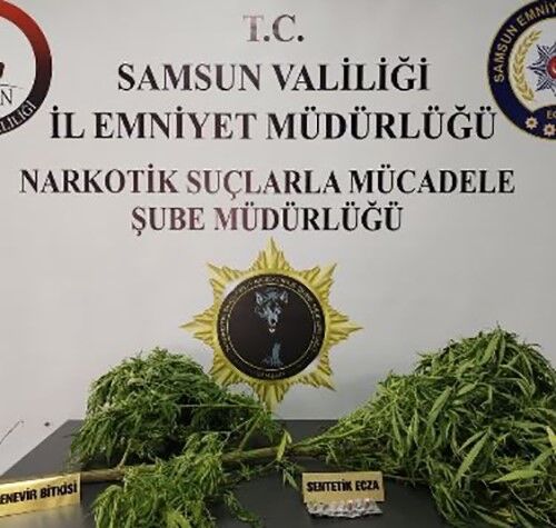 Samsun'da Ilçelerde Uyuşturucu Operasyonu1