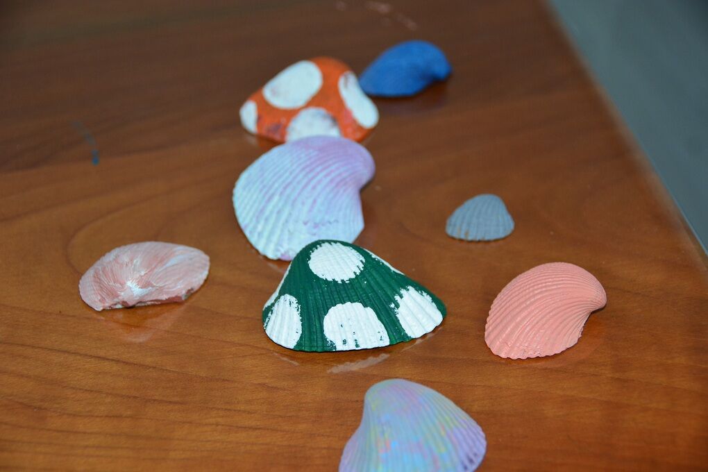 Samsunlu Minik Elif Zehra, Deniz Kabuklarını Sanat Eserine Dönüştürüyor (7)