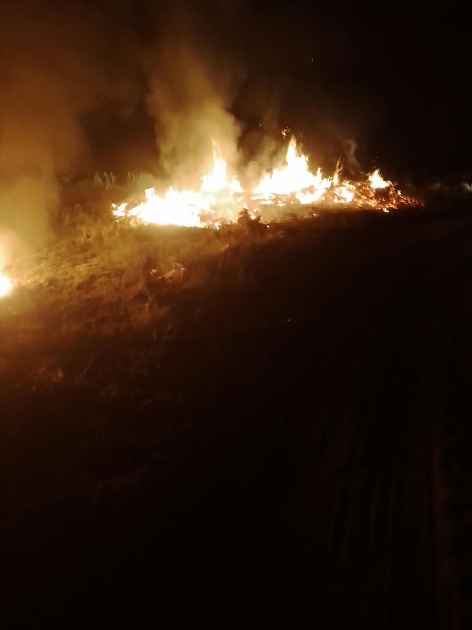 Türbe Mahallesindeki Merada Yine Yangın (1)