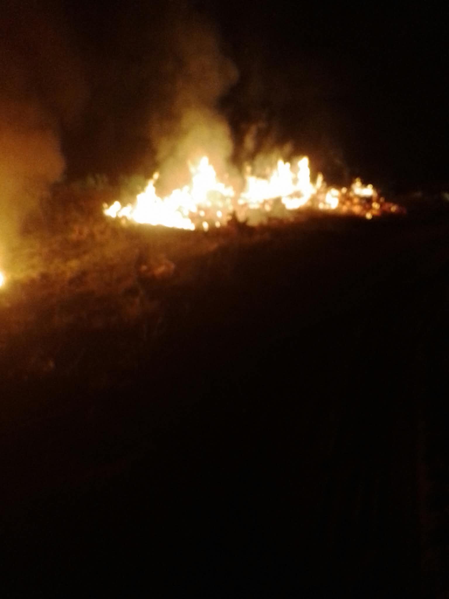 Türbe Mahallesindeki Merada Yine Yangın (2)