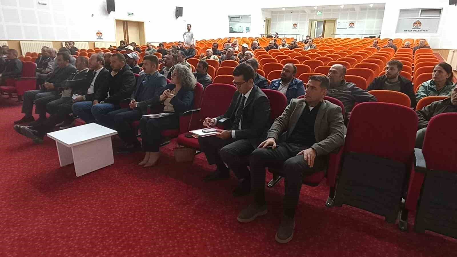 Havza ve Ladik'te süt hayvancılığı geliştirilecek