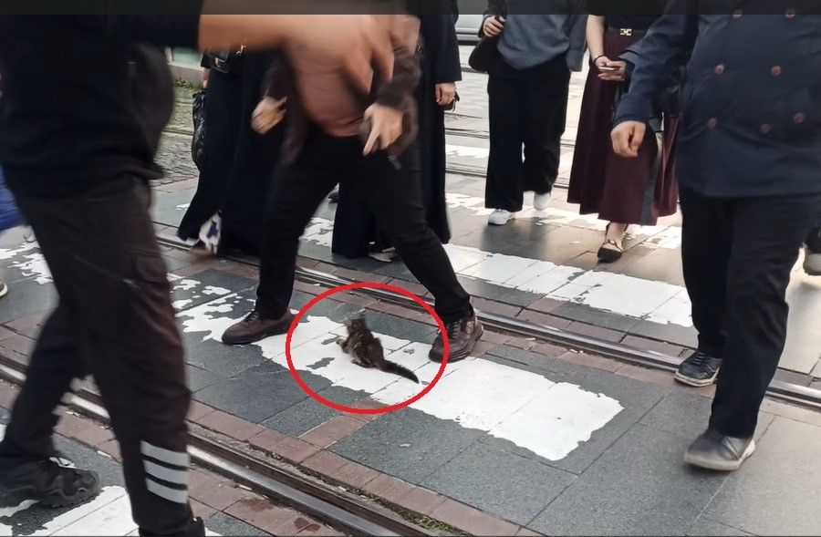 Samsun'da Yürekleri Ağza Getiren Anlar (2)